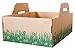 Disposable Ten Second Litter Boxes for Kitty/Cats. Made in The USA. Biodegradable Solution for Quick and Easy Disposal. Made of Recyclable Material. (8-Pack)