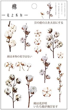 Amazon Co Jp Crrb 12は自然デイジークローバー日本の言葉ステッカー透明pet素材の花葉植物デコステッカーデザイン Color Cotton ホーム キッチン