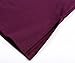 BAISHENGGT Women's Casual Shawl Collar Button Tunic Top X-Large Purple