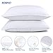 RENPHO Bed Pillows for Sleeping,Hotel Collection Plush Fiber Fill Pillow Down Alternative...