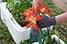 Garden Gloves Women and Men 2 pairs, Super Grippy Texture for Gardening and Work Activities - S,M,L Sizes (Small)