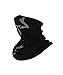 Watch Dogs Aiden's Iconic Vigilante Mask