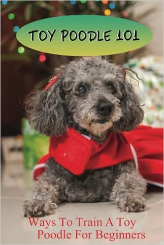 Toy Poodle 101: Ways To Train A Toy Poodle For Beginners �y�[�p�[�o�b�N - 2021/11/9