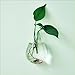 Waterdrop Shape Glass Wall Hanging Flower Vase Plant Bottle Home Decor