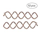 Frcolor 10 Pcs Spiral Twist Hair Pins Spin Clips Bun Stick Pick for DIY Hair Style (Rose Gold)