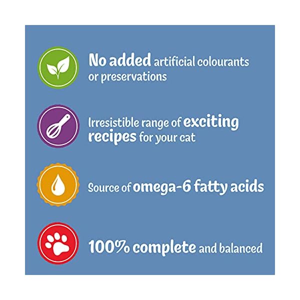 Felix-Mixed-Selection-in-Jelly-Cat-Food-120-Pouches-120-x-100-g Felix Adult Wet Cat Food Mixed Selection in Jelly Beef, Chicken, Tuna, Salmon 120 x 100g Pouches