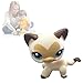 Rare Cat big Eyes Cute Kitten Littlest Pet Shop Toys Animals for Kids heart