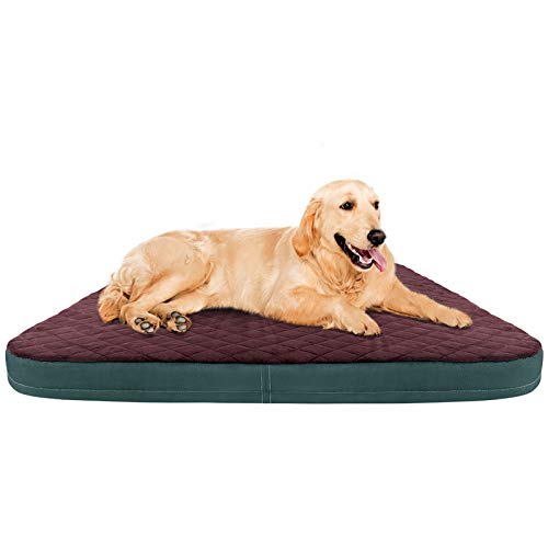 Large Dog Bed Orthopedic Foam Dog Beds Mattress 40 inch Joint Relief