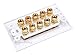 Monoprice 103539 Banana Binding Post Two-Piece Inset Wall Plate – White – Coupler Type For 5 Speakers