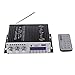 WINGONEER Mini Bluetooth Hi-Fi Stereo Audio AMP Amplifier Bass Booster MP4 12V Support FM/MP3/TF/USB/DVD for Car Motorcycle Car Auto CD DVD