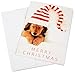 Amazon.com $25 Gift Card in a Greeting Card (Christmas Puppy Design)