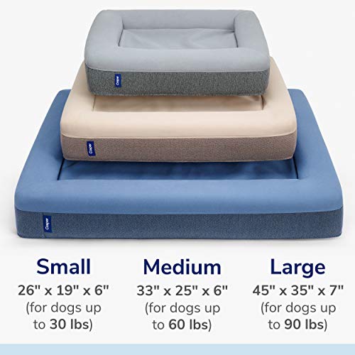 Casper Dog Bed, Plush Memory Foam, Large, Eucalyptus Pricepulse