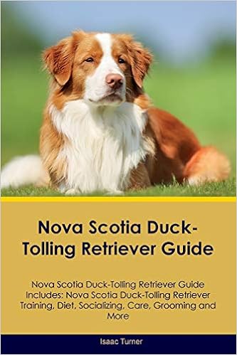 scotia nova retriever