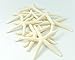 Starfish Decor - Star Fish for Craft - 10pk Real 3-4