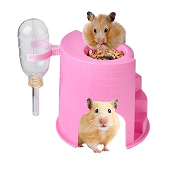 Buy Sage Square 3 In 1 Water Bottle With Feeder Stand Hide House