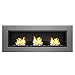 Regal Flame Devant Ventless Bio Ethanol Wall Mounted Fireplace
