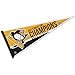 Penguins 2017 Stanley Cup Champs Pennant and Banner