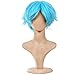 Ecvtop Wigs for Mens' Death Note Male Short Hair Wig Costume Cosplay Wigs (Sky Blue)