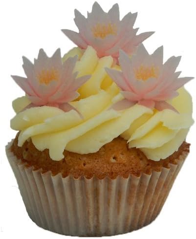 2D FLAT PINK WATER LILY FLOWERS S1 EDIBLE WAFER/RICE PAPER CUP CAKE TOPPERS BIRTHDAY PARTY WEDDING DECORATION F27 (12)