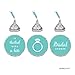 Andaz Press Chocolate Drop Labels Trio, Fits Kisses Party Favors, Wedding Bridal Shower, Diamond Blue, 216-Pack, Robin's Egg Blue Bride & Co Inspired Bridal Shower Party Decor Decorations