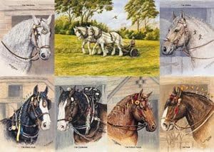 Heavy Horses Jigsaw Puzzle by James Hamilton Grovely