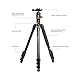 TARION Camera Tripod Monopod 61in with Panorama Ball Head Aluminium Travel Tripod for DSLR Mirrorless Cameras Support Macro Shots Counter Weight 13lb Payload Lightweight 16.9