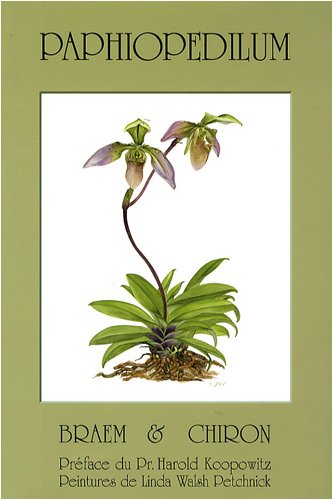 Paphiopedilum