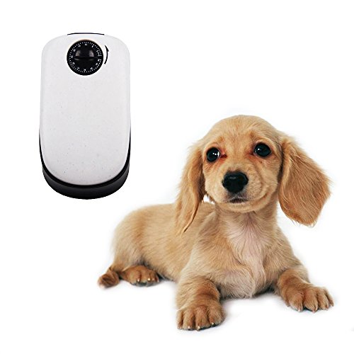 Купить Petzilla Automatic Pet Feeder for Dry and Wet Food & Water в