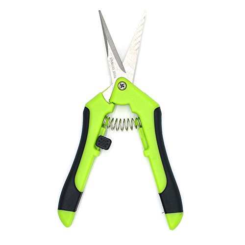 HONGVILLE 6.5″ Gardening Hand Professional Tip Trimming Scissors Pruner Pruning Shear (Straight, Green)
