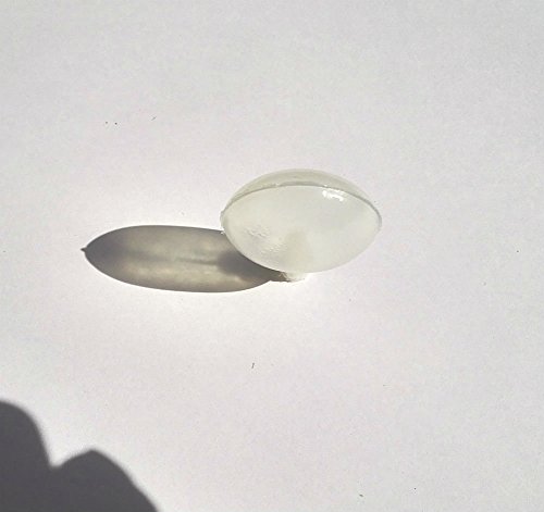 AKOAK 50 Pcs 35mm Toy Squeakers Fit Repair Dog Pet Baby Toys Noise Maker Insert Replacement