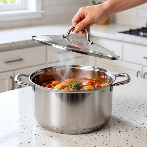 LEUGWAKN 10 Quart Stock Pot, Stainless Steel Pot with Lid for Induction | Premium 10 quart stainless steel cookware. Heavy duty large cooking pot with lid for soup, pasta, stew. Induction pot
