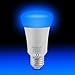 Yangcsl 5W A19 Remote Controlled Color Changing LED Light Bulbs, RGB + Daylihgt White, 40W Incandescent Bulb Equivalent, 16 Color Choice, E26 Medium Screw Base (Pack of 2)