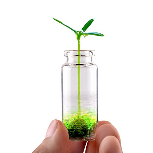 Funyye 100 PCS 14X30mm Clear Small Drift Bottles Tiny Empty Wishing Glass Message Vial With Cork Stopper Mini Containers Decorative Glass Bottles Storage Pendant organizer Charms Jars Wedding Favors