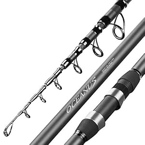 Hayandy Pêche Rocher Portable Rod Robuste En Fibre De Carbone M Mer Télescopique Bateau à Moteur Roche Canne à Pêche-5…