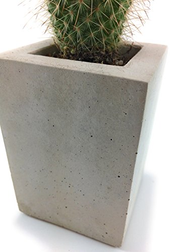 Square Concrete Succulent Planters / Air Plant Holder / Vase. (set of 3) Natural Gray. - Thumbnail 5