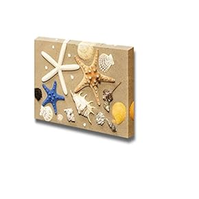 Canvas Prints Wall Art - Tropical Seashells and Starfish Washed Ashore a Sandy Beach | Modern Wall Decor/Home Decoration Stretched Gallery Canvas Wrap Giclee Print. Ready to Hang - 12" x 18"