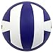 Baden Perfection Premium Leather Indoor Official Game Volleyball 13U to College Official Size + Weight NFHS + AVCA Approved