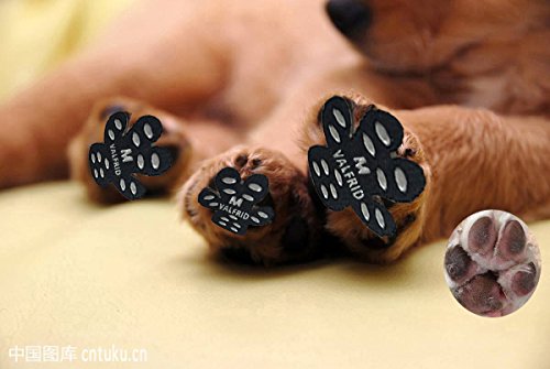 valfrid dog paw protector