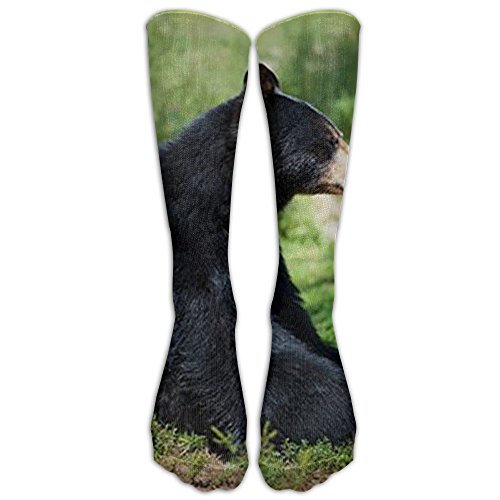 Black Bear Socks Kritters in the Mailbox Black Bear Sock