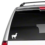 Love Llama 6