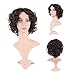 Curly Synthetic Wig Brown Short Hair 20 Styles Fluffy Heat Resistant Wig for Women Girls Lady,10'' / 10 inch #2 Dark brown