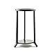 Tall Wrought Iron Large Egg or Sphere Stand Display Holder 4.5 Inches