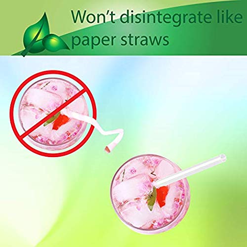 Biodegradable Straw Clear with GreenStrip 7 3/4" Unwrapped 400 Unit Pack, 100% Eco Friendly, Disposable Biodegradable - Image 3