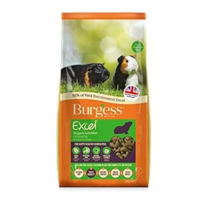 Burgess Excel Guinea Pig Nuggets with Mint, 10kg
