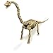 Paleo Expedition - Dino Excavation Kit - Brachiosaurus