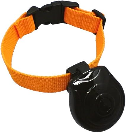Amazon Co Jp ペットが撮影する小型カメラ ペットのカラー 首輪 につけてペット目線で自動撮影できます カメラ