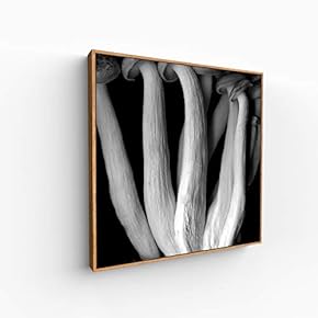 Canvas Wall Art for Living Room, Bedroom Monochrome Image Framed Canvas Prints for Home Decoration Ready to Hang - 16x16 inches