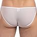 FEESHOW Men's Soft Long Sheath Sleeve Bikini Briefs Pouch Underwear G String Thongs