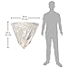 Reli. 6-10 Gallon Trash Bags | 1000 Bags | Clear | Bathroom | Strong | Garbage