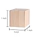 Supla 60pcs 1 inch Natural Unfinished Craft Solid Wood Blocks Wood Cubes for DIY Craft Gifts (60pcs)